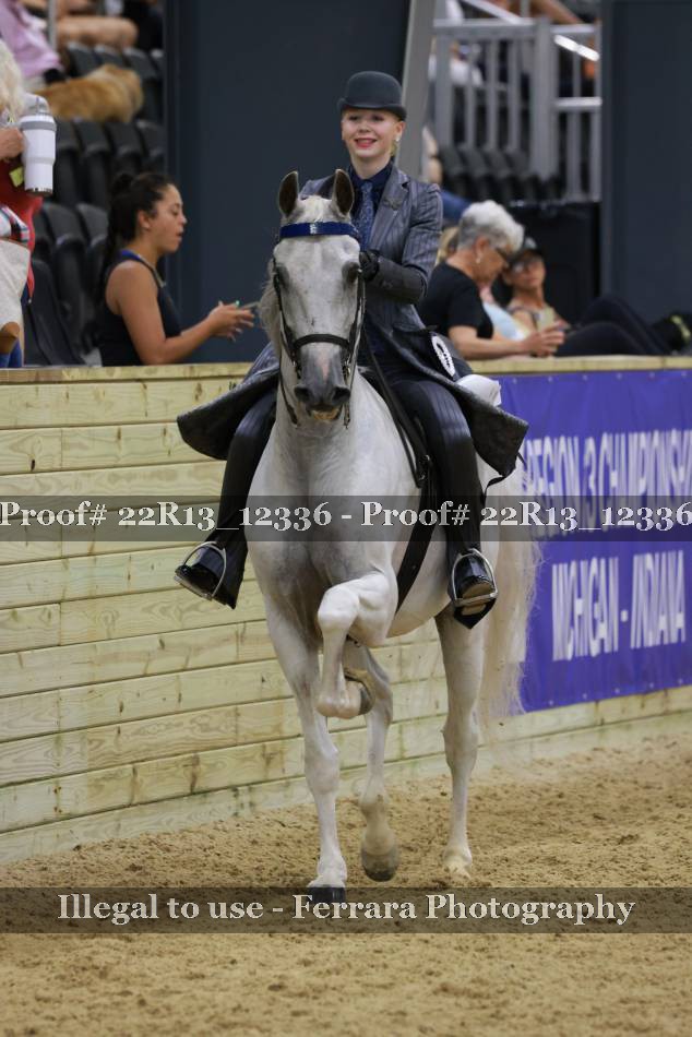 Proof 22R13_12336