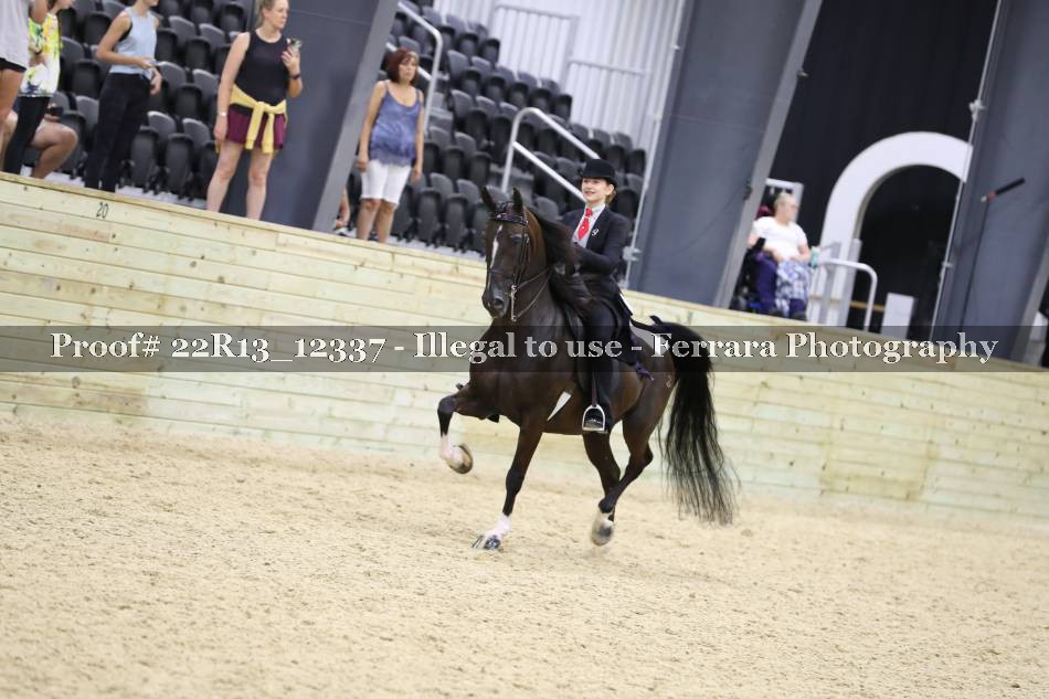 Proof 22R13_12337