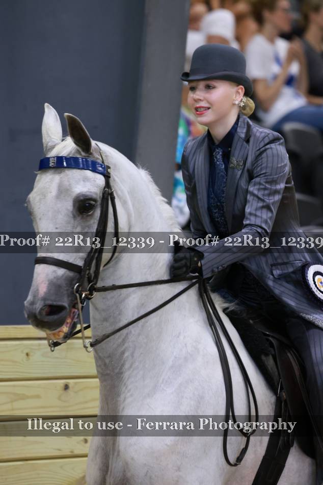 Proof 22R13_12339