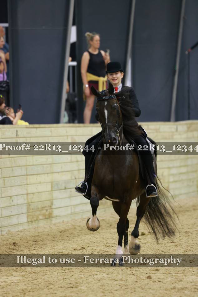 Proof 22R13_12344