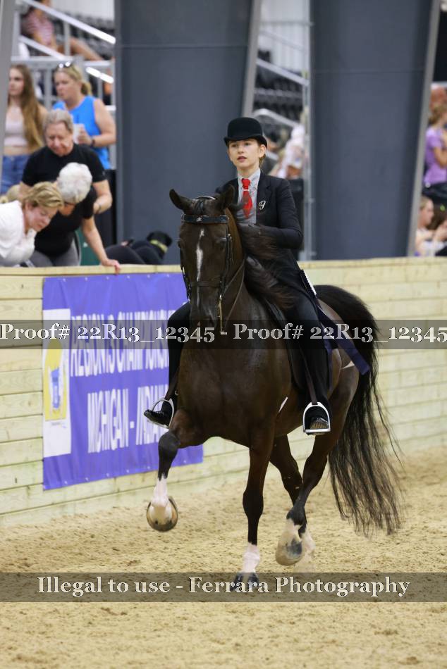 Proof 22R13_12345