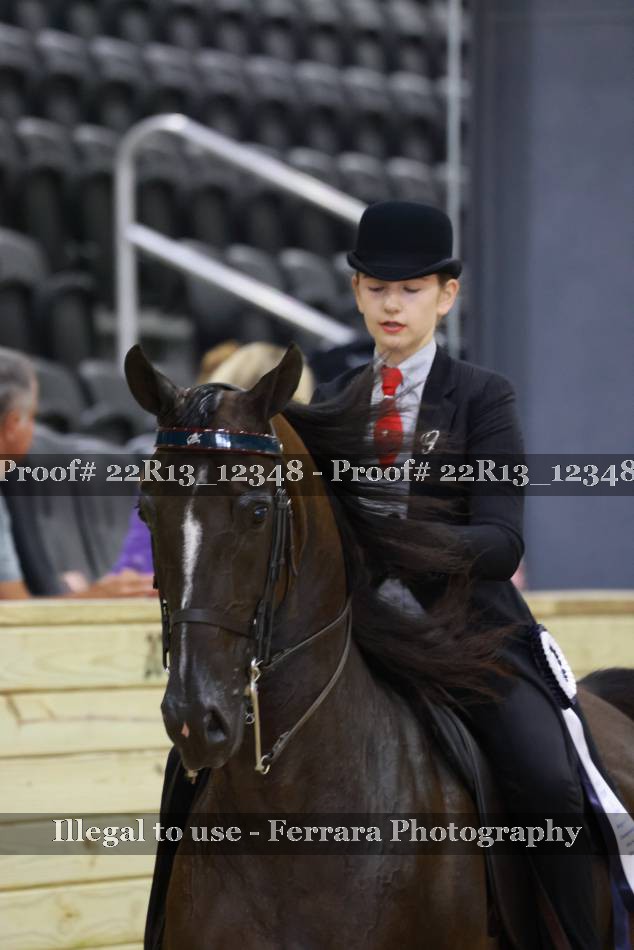 Proof 22R13_12348