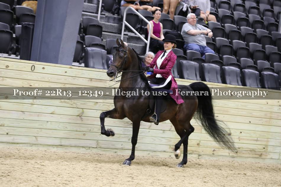 Proof 22R13_12349