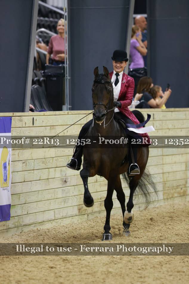 Proof 22R13_12352