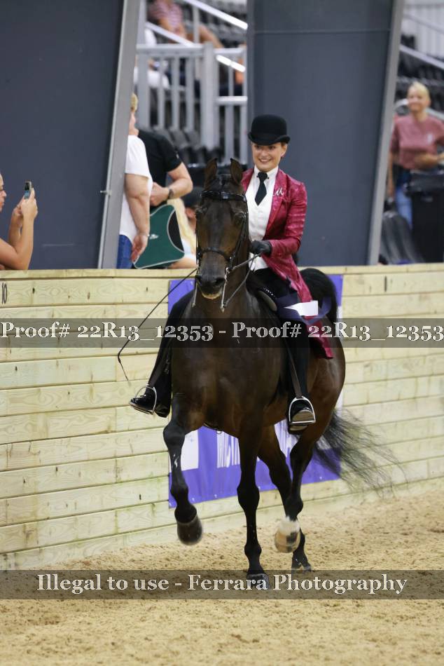 Proof 22R13_12353