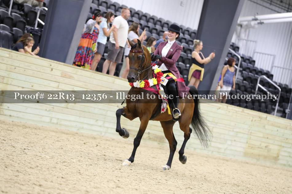 Proof 22R13_12356