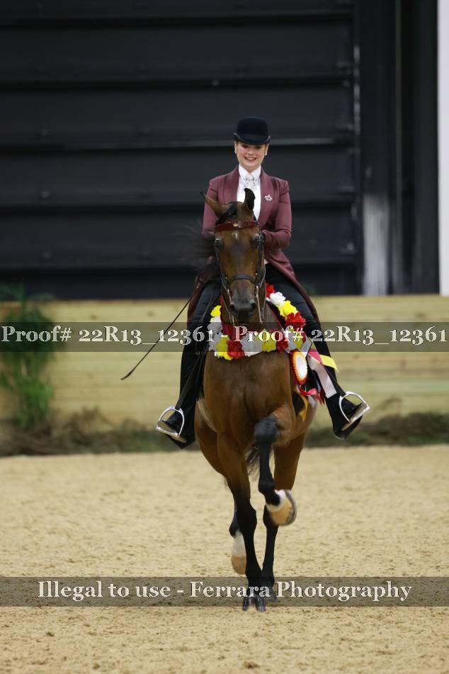 Proof 22R13_12361