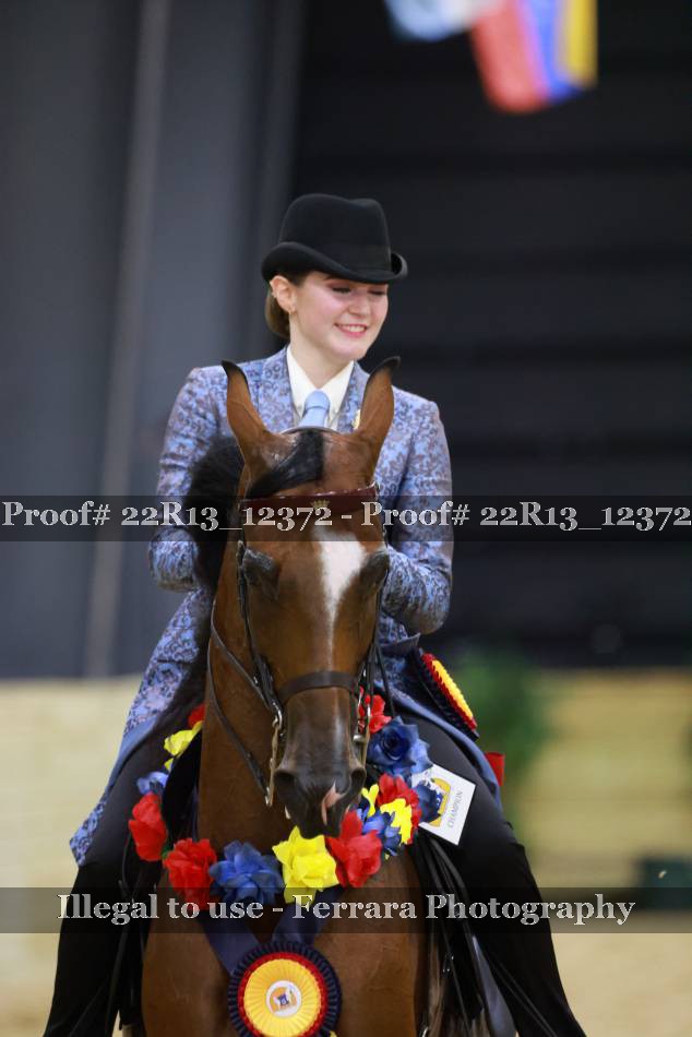 Proof 22R13_12372