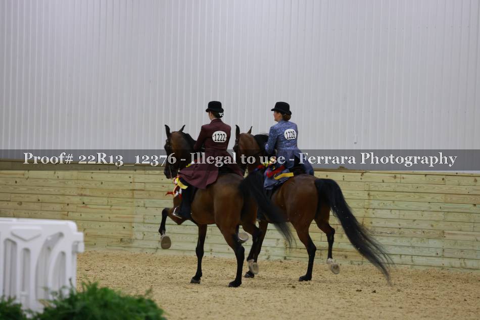 Proof 22R13_12376