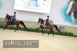 22R13_12377 proof