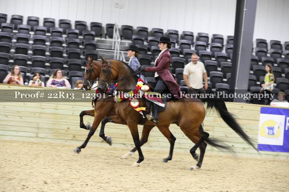 Proof 22R13_12391