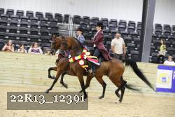 22R13_12391 proof