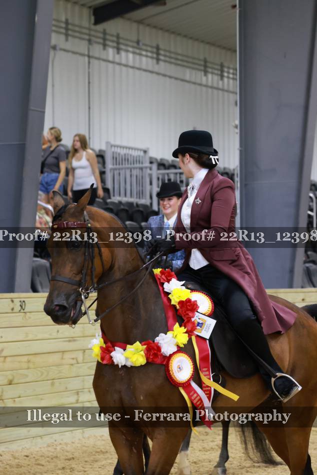 Proof 22R13_12398