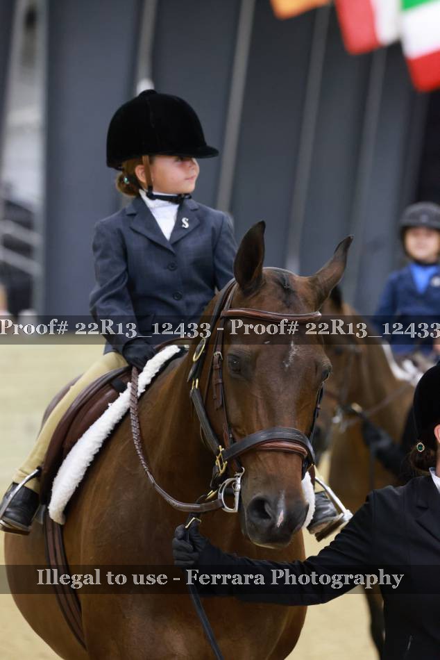 Proof 22R13_12433