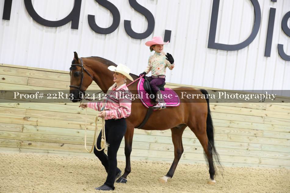 Proof 22R13_12442