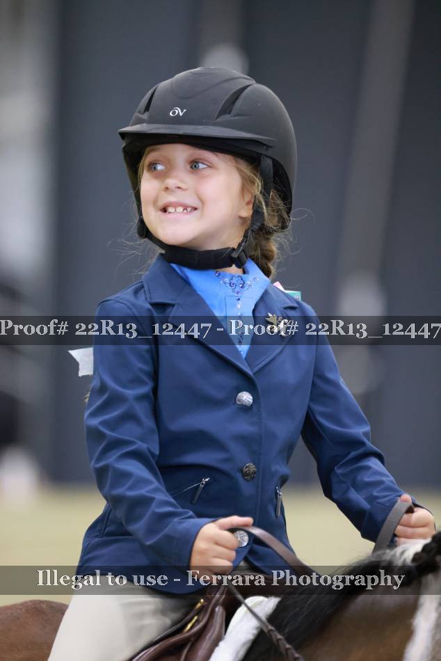 Proof 22R13_12447