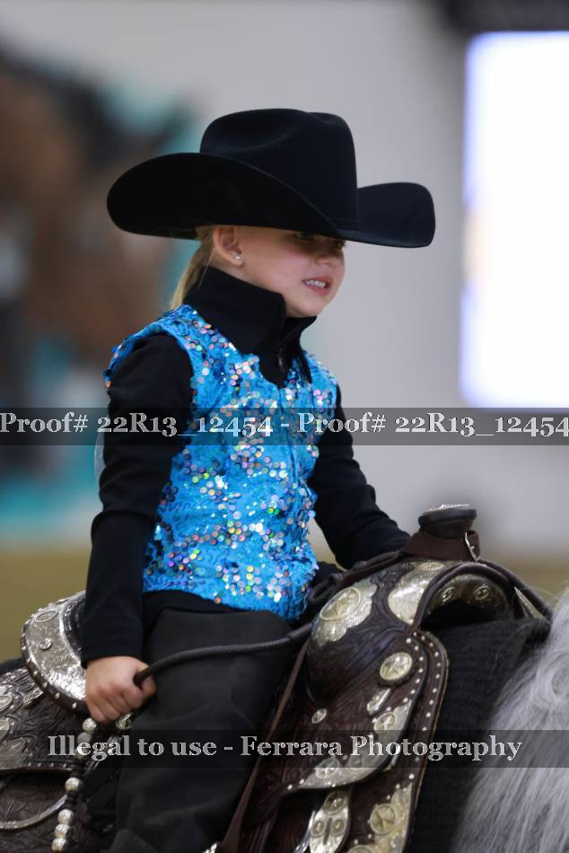 Proof 22R13_12454