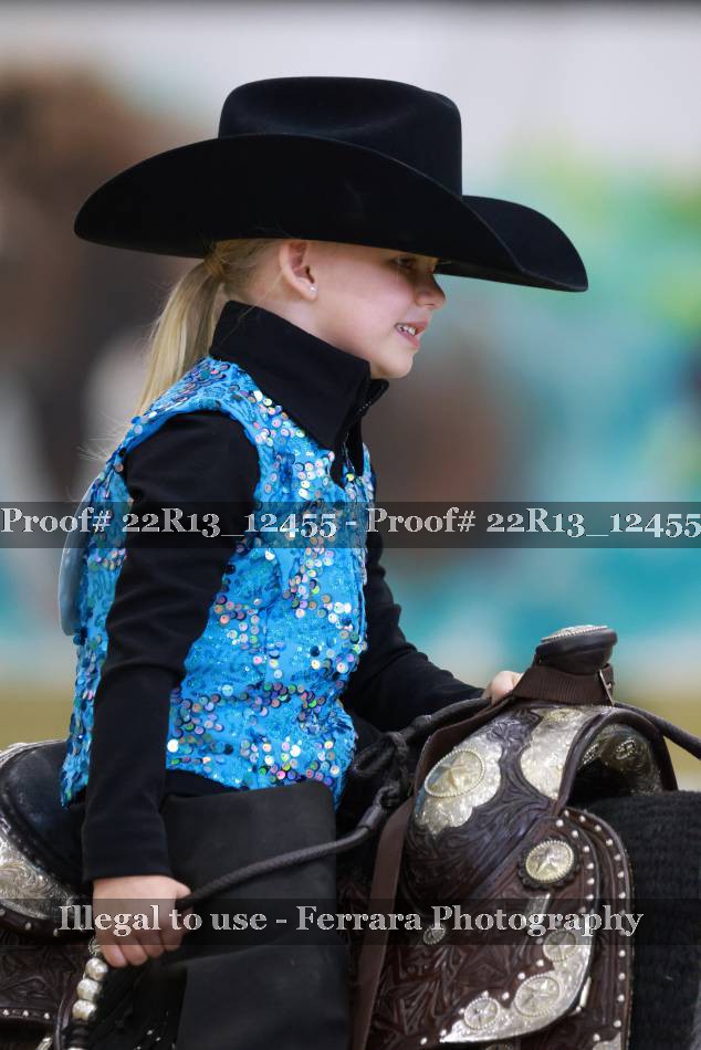 Proof 22R13_12455