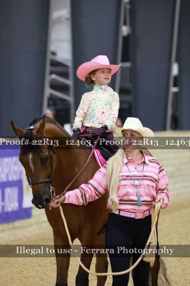 Proof 22R13_12463