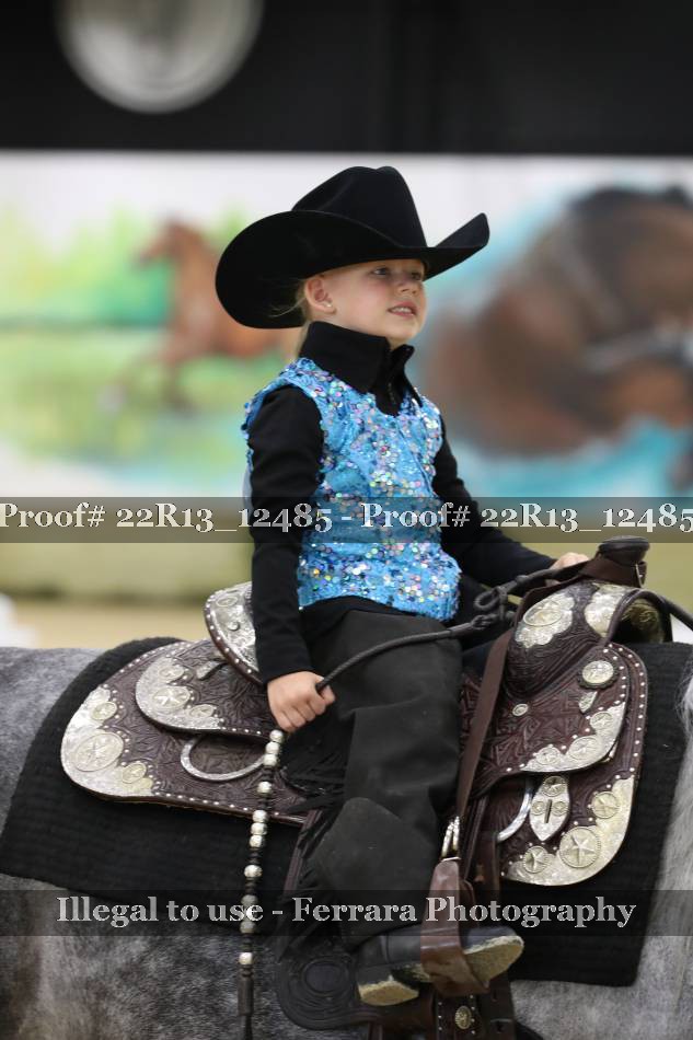 Proof 22R13_12485