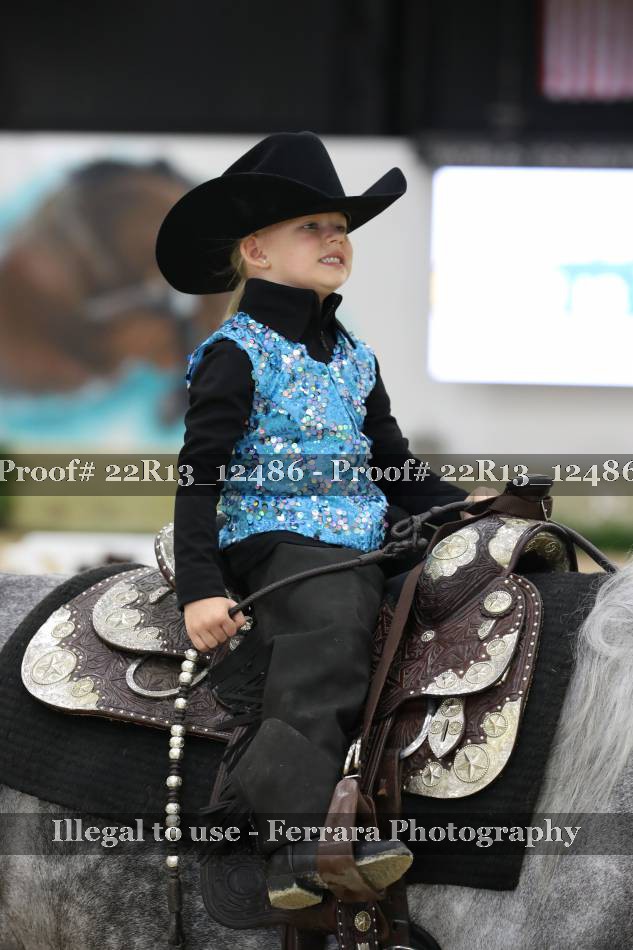 Proof 22R13_12486