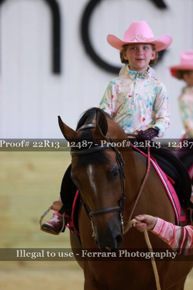 Proof 22R13_12487