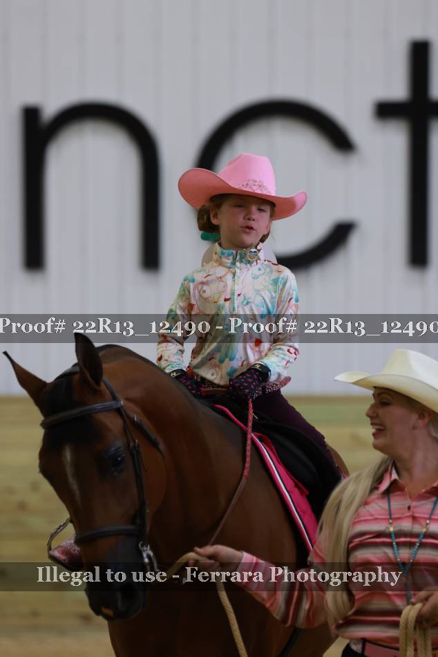 Proof 22R13_12490