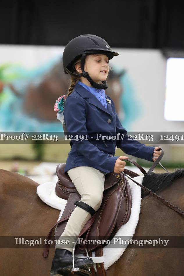 Proof 22R13_12491