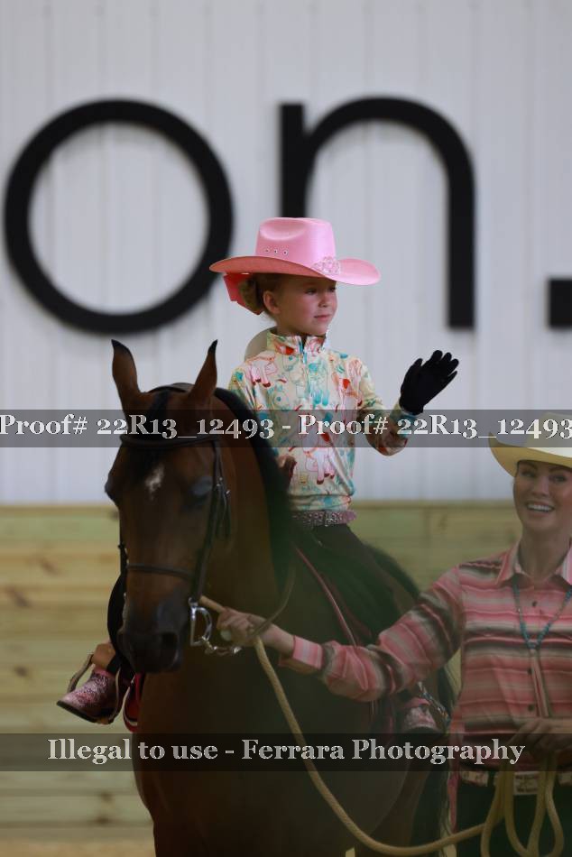 Proof 22R13_12493