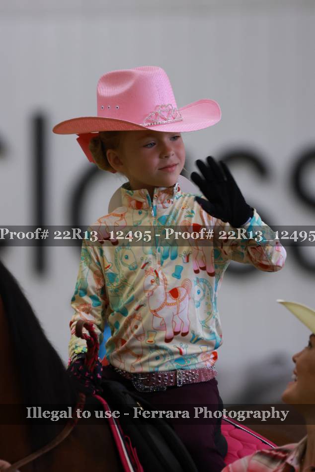 Proof 22R13_12495