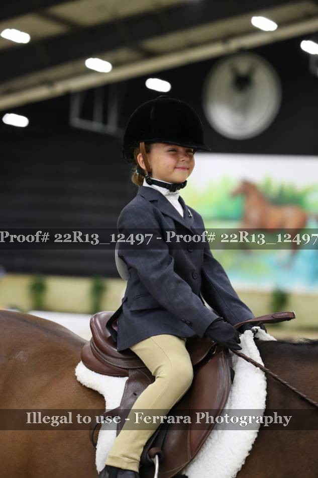 Proof 22R13_12497