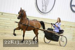 22R13_12542 proof