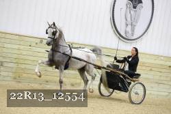 22R13_12554 proof