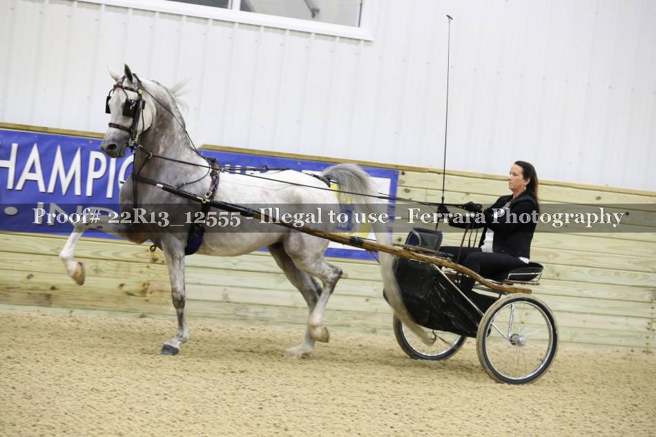 Proof 22R13_12555