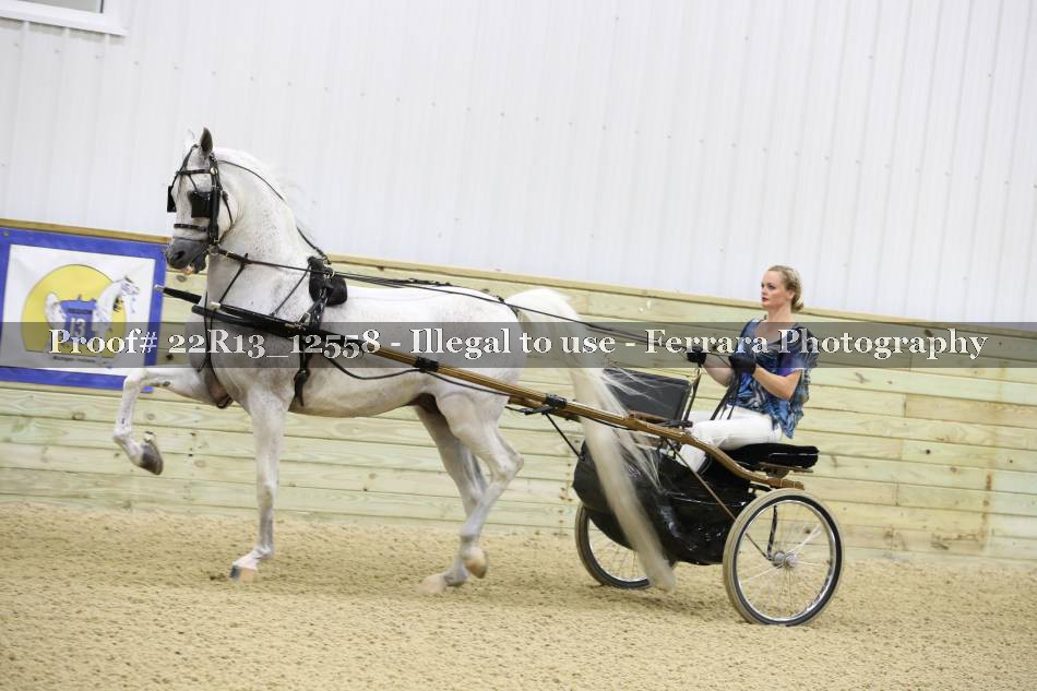 Proof 22R13_12558