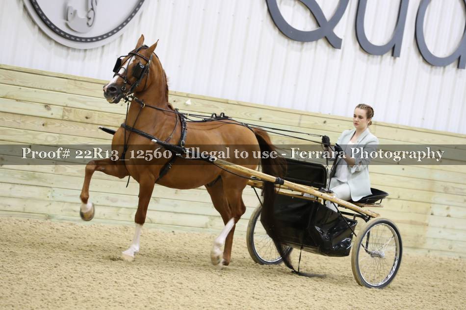 Proof 22R13_12560