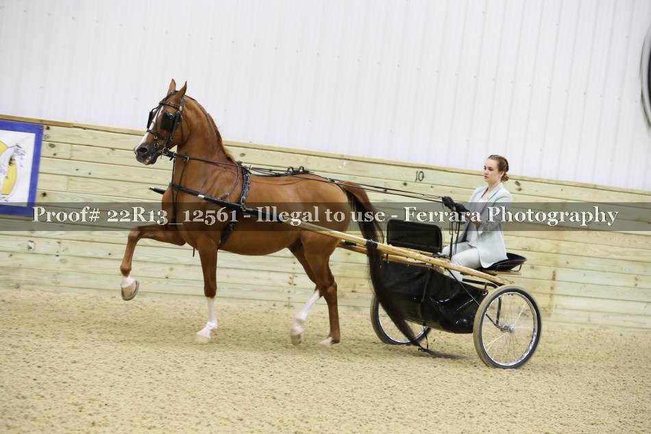 Proof 22R13_12561