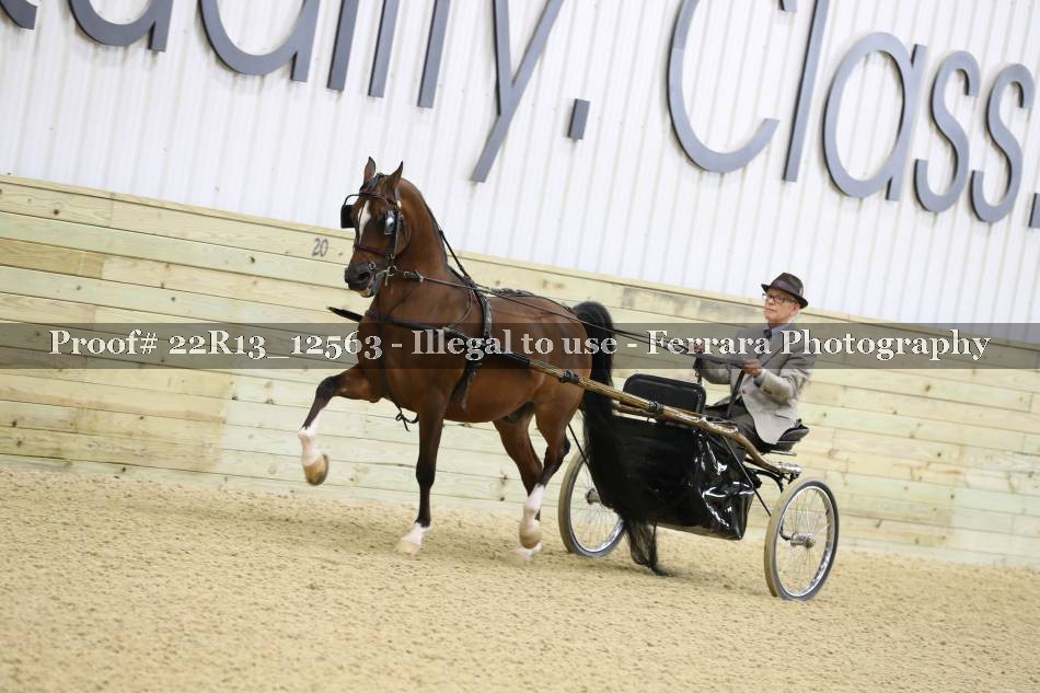 Proof 22R13_12563