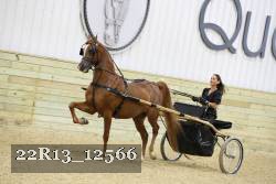 22R13_12566 proof
