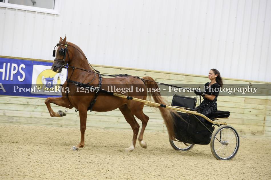Proof 22R13_12567