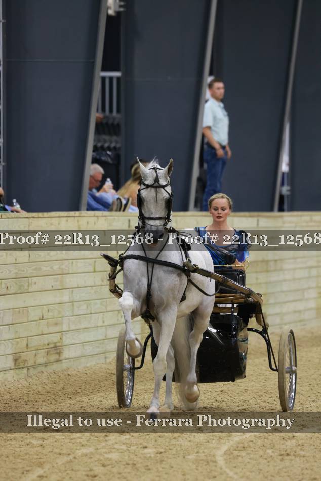 Proof 22R13_12568