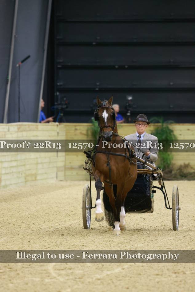 Proof 22R13_12570