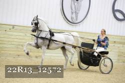 22R13_12572 proof