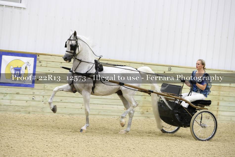 Proof 22R13_12573