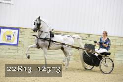 22R13_12573 proof