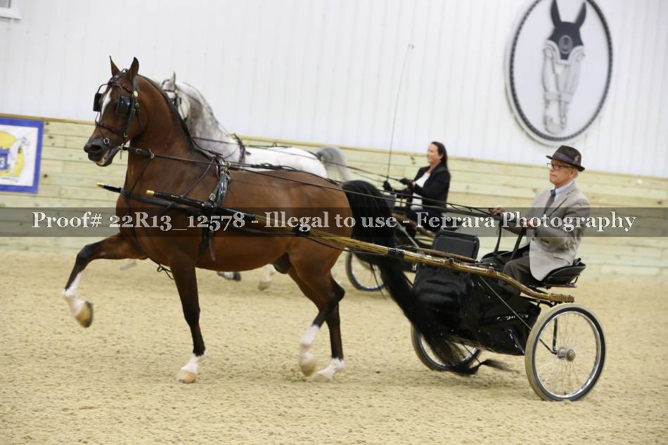 Proof 22R13_12578