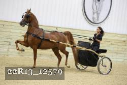 22R13_12579 proof