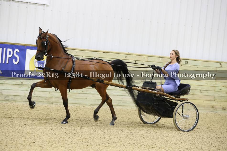 Proof 22R13_12581