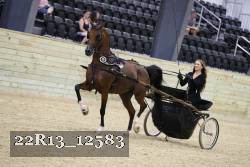 22R13_12583 proof