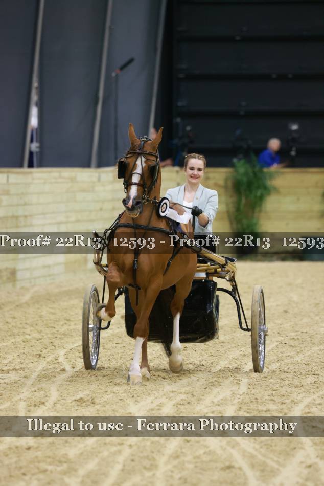 Proof 22R13_12593